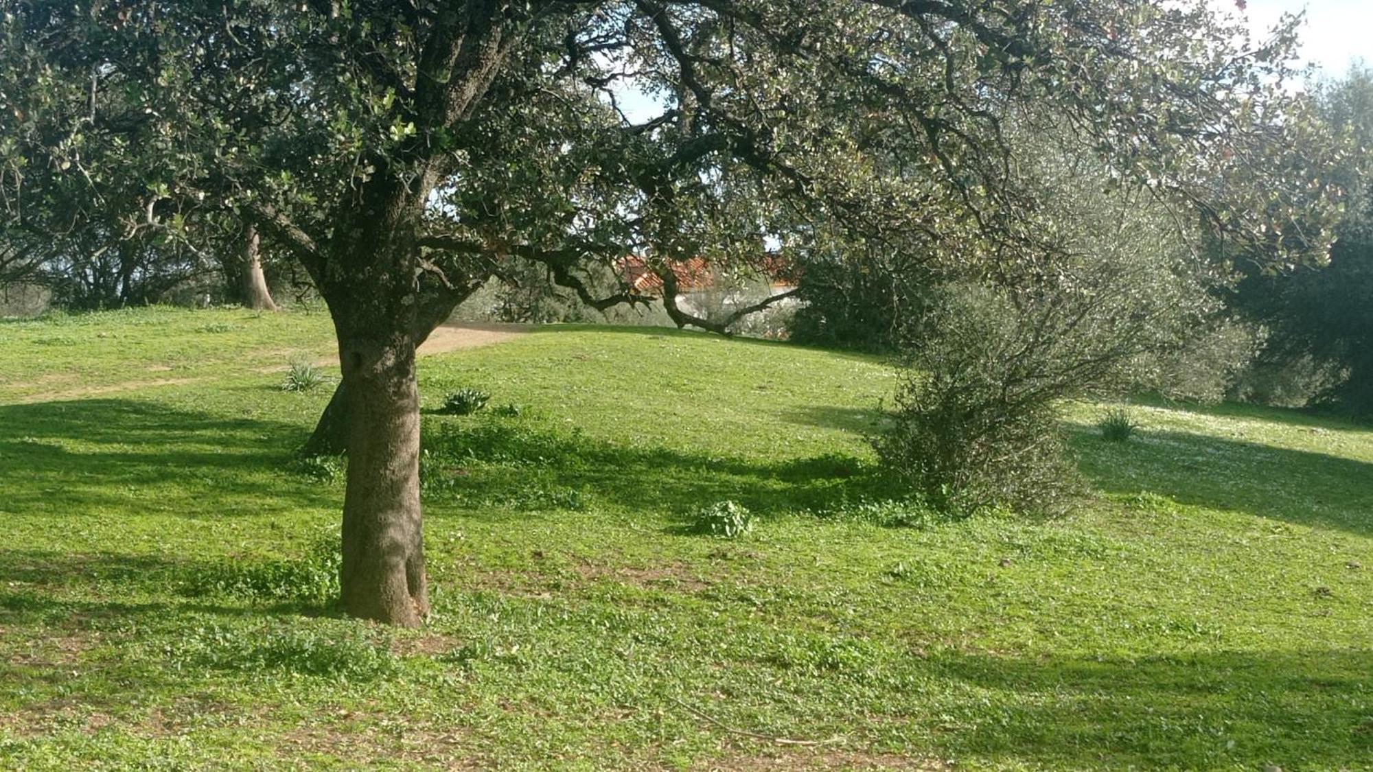 La De La Cigarra Holiday home